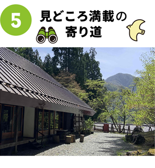 ⑤見どころ満載の寄り道