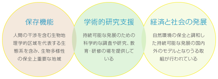 保存機能 学術的研究支援 経済と社会の発展
