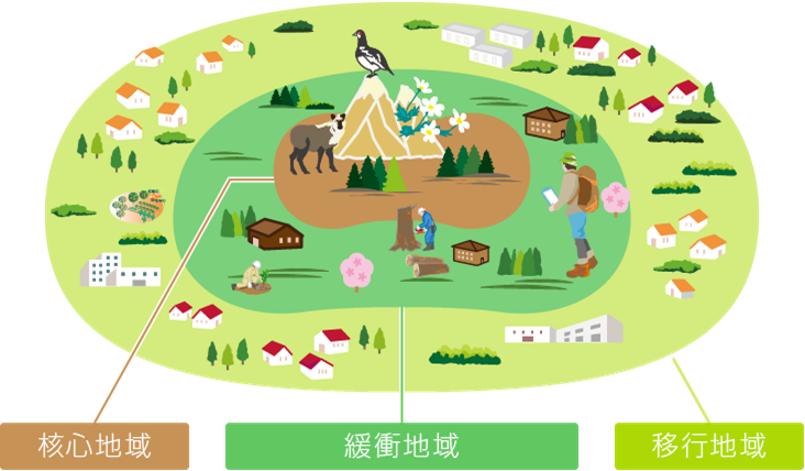 核心地域 緩衝地域 移行地域