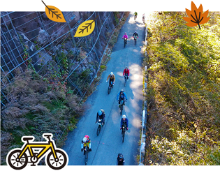 雄大な自然の中を走り抜ける爽快コース